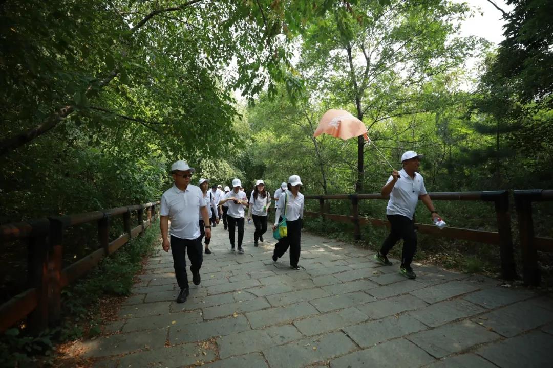 鼎博·(中国游)有限公司官网