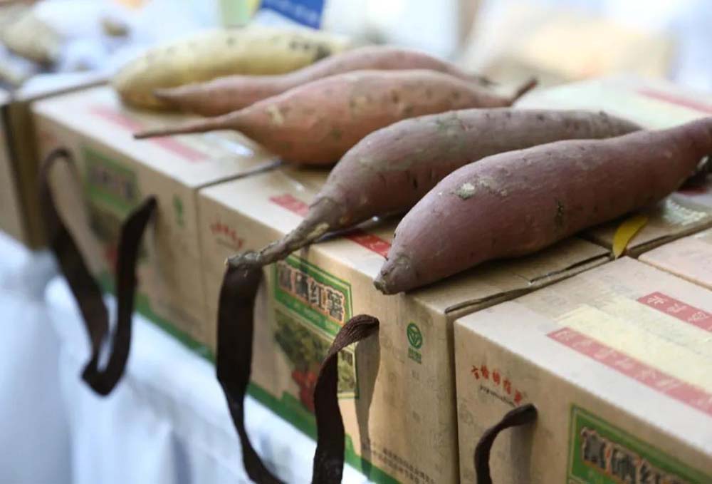 鼎博·(中国游)有限公司官网