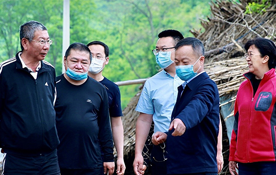 鼎博集团总经理王庆良赴岫岩县 调研考察定点扶贫工作