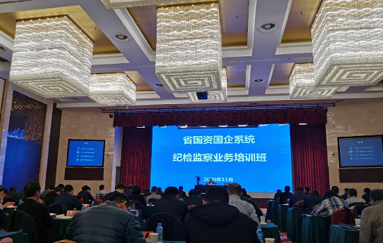 鼎博集团纪委全员参加省国资国企系统 纪检监察业务培训